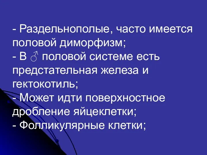 - Раздельнополые, часто имеется половой диморфизм; - В ♂ половой