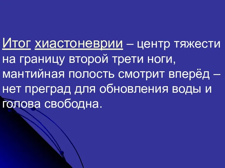 Итог хиастоневрии – центр тяжести на границу второй трети ноги,