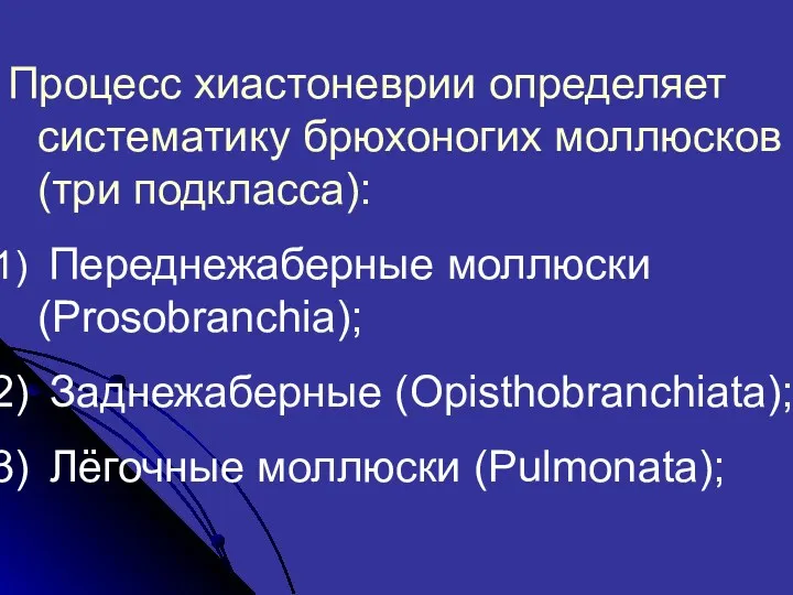 Процесс хиастоневрии определяет систематику брюхоногих моллюсков (три подкласса): Переднежаберные моллюски (Prosobranchia); Заднежаберные (Opisthobranchiata); Лёгочные моллюски (Pulmonata);