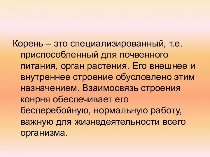 Корень – это специализированный, т.е. приспособленный для почвенного питания, орган