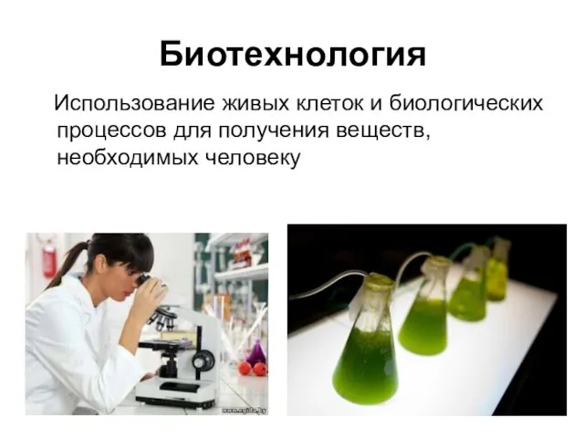 Биотехнология Использование живых клеток и биологических процессов для получения веществ, необходимых человеку