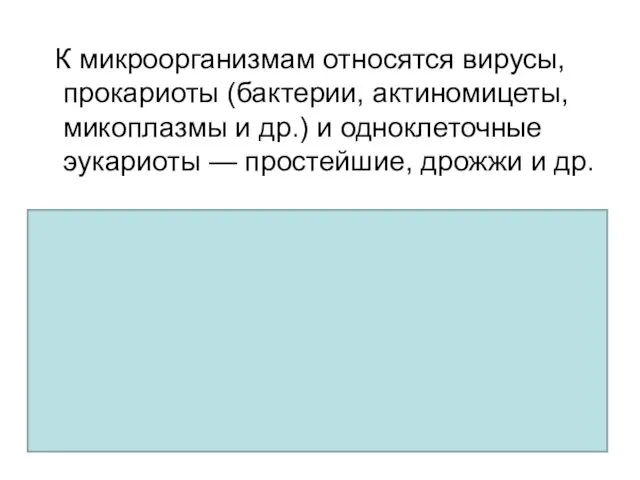 К микроорганизмам относятся вирусы, прокариоты (бактерии, актиномицеты, микоплазмы и др.)