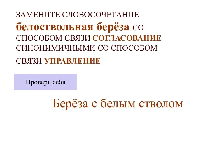 ЗАМЕНИТЕ СЛОВОСОЧЕТАНИЕ белоствольная берёза СО СПОСОБОМ СВЯЗИ СОГЛАСОВАНИЕ СИНОНИМИЧНЫМИ СО