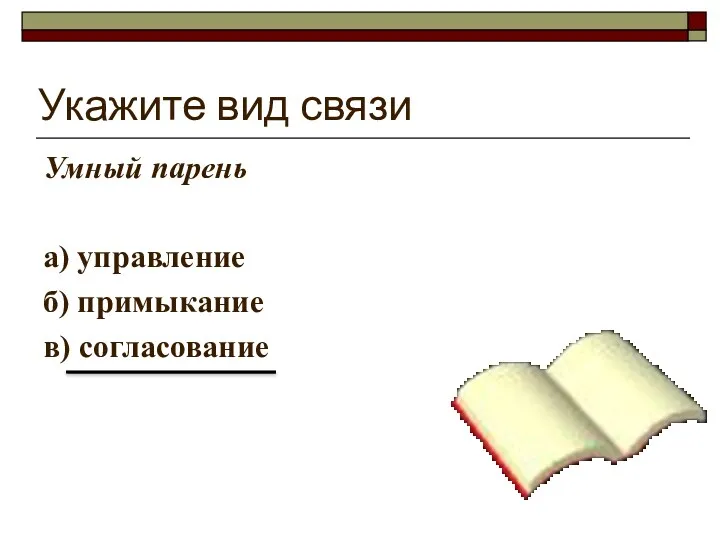 Укажите вид связи Умный парень а) управление б) примыкание в) согласование