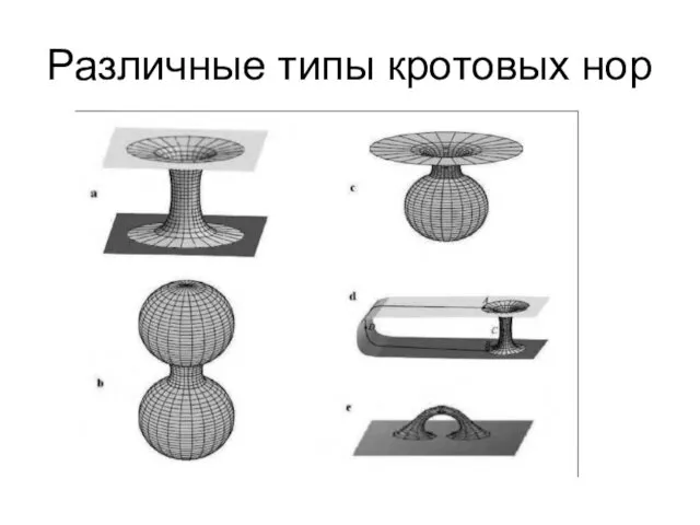 Различные типы кротовых нор