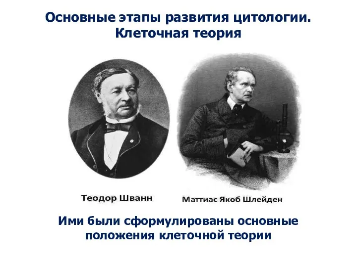 Основные этапы развития цитологии. Клеточная теория Ими были сформулированы основные положения клеточной теории