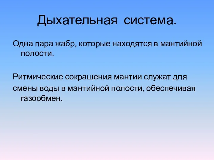 Дыхательная система. Одна пара жабр, которые находятся в мантийной полости.