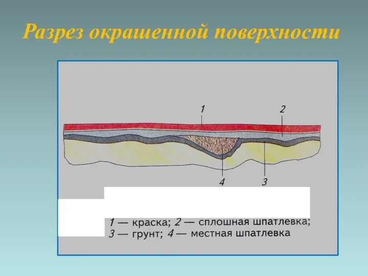 Разрез окрашенной поверхности