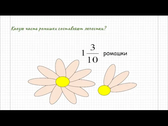 Какую часть ромашки составляют лепестки? ромашки