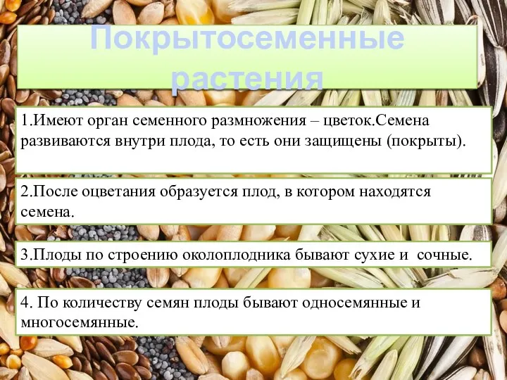 Покрытосеменные растения 1.Имеют орган семенного размножения – цветок.Семена развиваются внутри