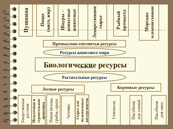 Биологические ресурсы Лесные ресурсы Кормовые ресурсы Растительные ресурсы Лекарственные растения