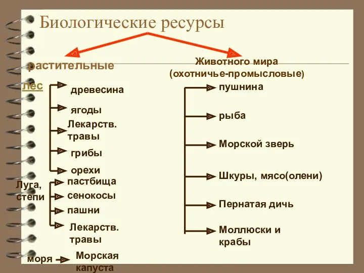 Биологические ресурсы растительные Животного мира (охотничье-промысловые) лес древесина ягоды Лекарств.