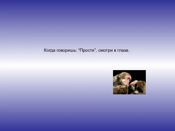 Когда говоришь: “Прости”, смотри в глаза.