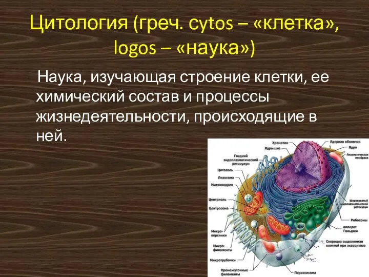 Цитология (греч. сytos – «клетка», logos – «наука») Наука, изучающая
