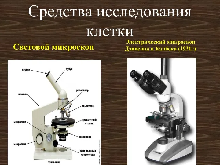 Средства исследования клетки Световой микроскоп Электрический микроскоп Дэвисона и Калбека (1931г)