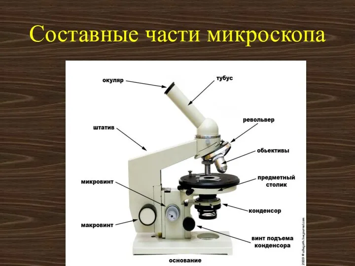 Составные части микроскопа