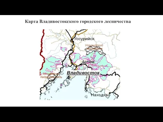 Карта Владивостокского городского лесничества
