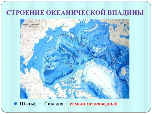 СТРОЕНИЕ ОКЕАНИЧЕСКОЙ ВПАДИНЫ Шельф – ½ океана – самый мелководный