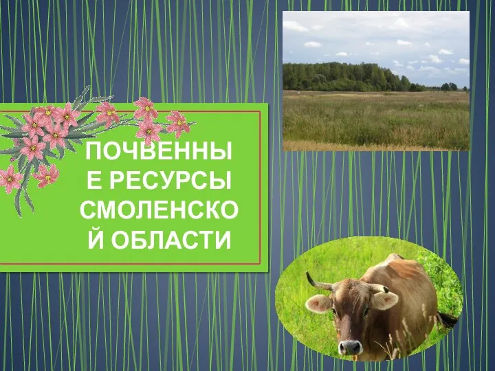 Почвенные ресурсы Смоленской области