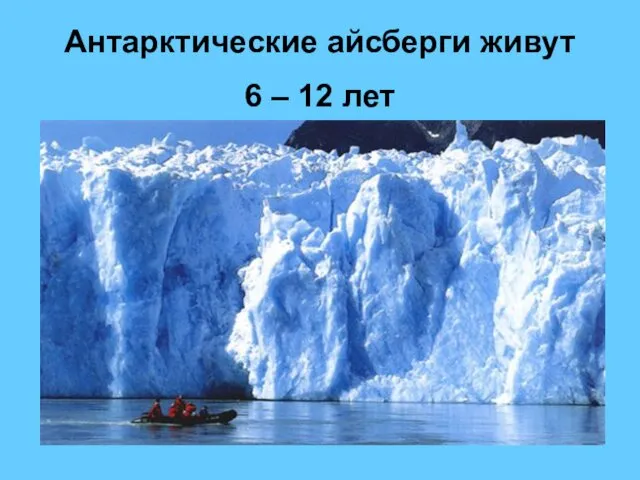 Антарктические айсберги живут 6 – 12 лет