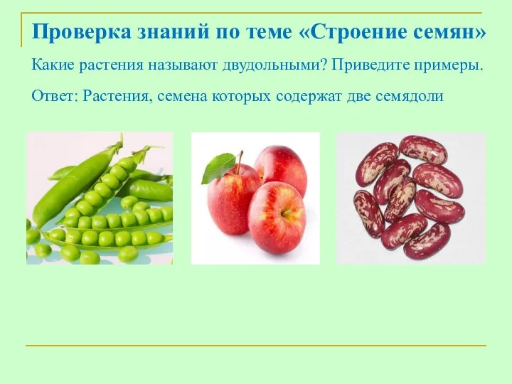 Проверка знаний по теме «Строение семян» Какие растения называют двудольными?