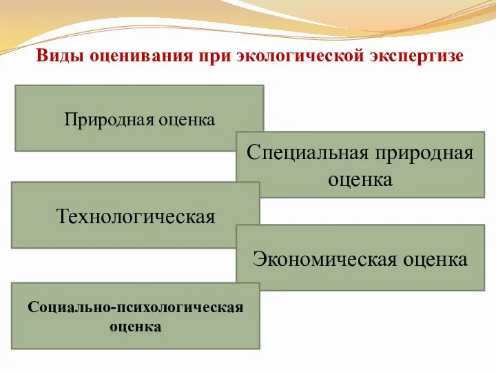 Виды оценивания при экологической экспертизе Природная оценка Специальная природная оценка Технологическая Экономическая оценка Социально-психологическая оценка