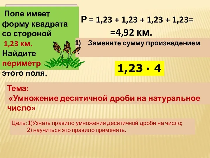 Поле имеет форму квадрата со стороной 1,23 км. Найдите периметр