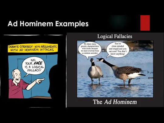 Ad Hominem Examples