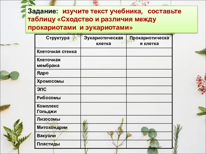 Задание: изучите текст учебника, составьте таблицу «Сходство и различия между прокариотами и эукариотами»