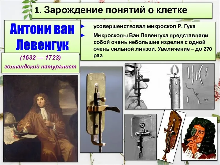 1. Зарождение понятий о клетке Антони ван Левенгук (1632 —