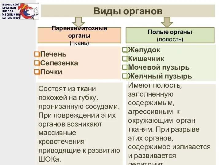 Виды органов Паренхиматозные органы (ткань) Полые органы (полость) Печень Селезенка