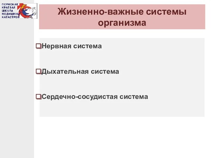 Жизненно-важные системы организма Нервная система Дыхательная система Сердечно-сосудистая система