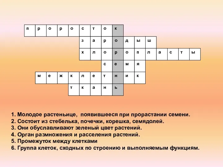 1. Молодое растеньице, появившееся при прорастании семени. 2. Состоит из