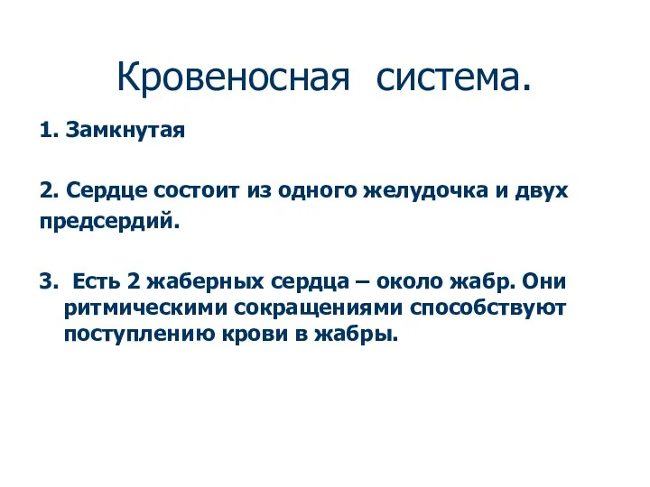 Кровеносная система. 1. Замкнутая 2. Сердце состоит из одного желудочка