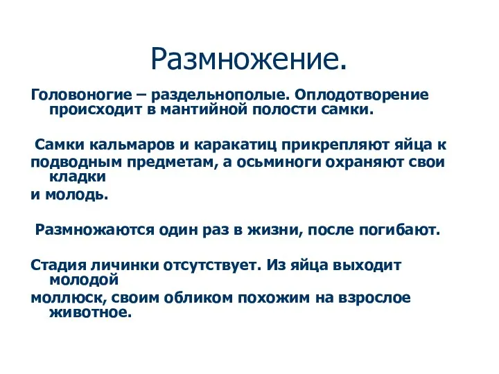 Размножение. Головоногие – раздельнополые. Оплодотворение происходит в мантийной полости самки.