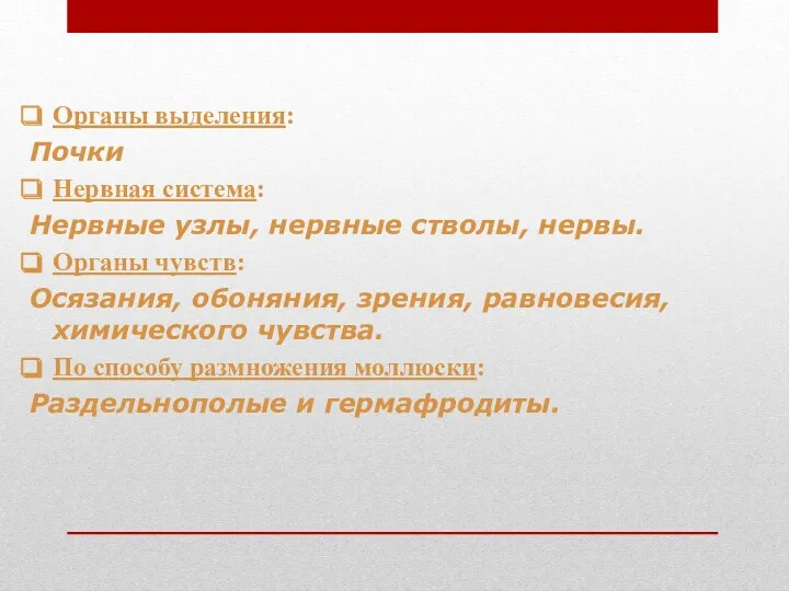 Органы выделения: Почки Нервная система: Нервные узлы, нервные стволы, нервы.