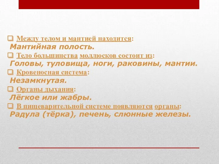 Между телом и мантией находится: Мантийная полость. Тело большинства моллюсков