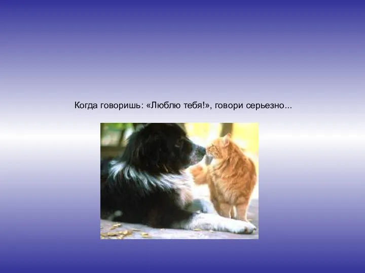 Когда говоришь: «Люблю тебя!», говори серьезно...