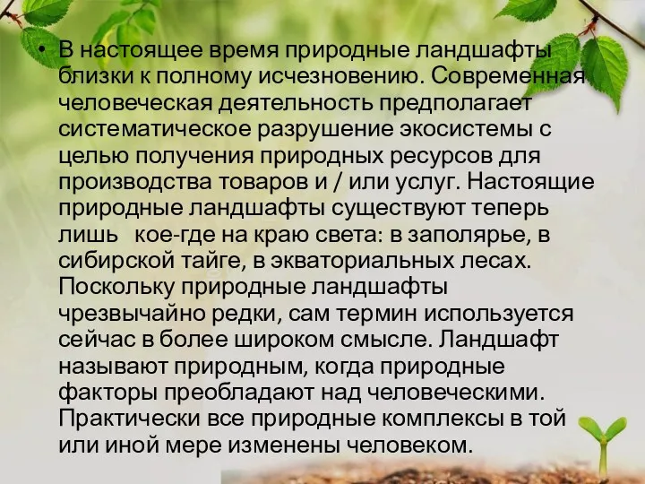 В настоящее время природные ландшафты близки к полному исчезновению. Современная