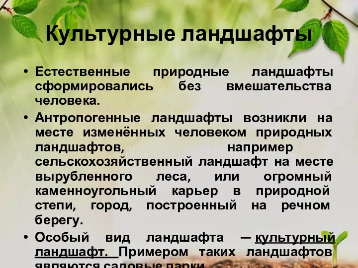 Культурные ландшафты Естественные природные ландшафты сформировались без вмешательства человека. Антропогенные