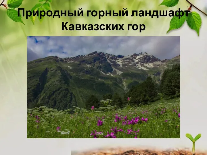Природный горный ландшафт Кавказских гор