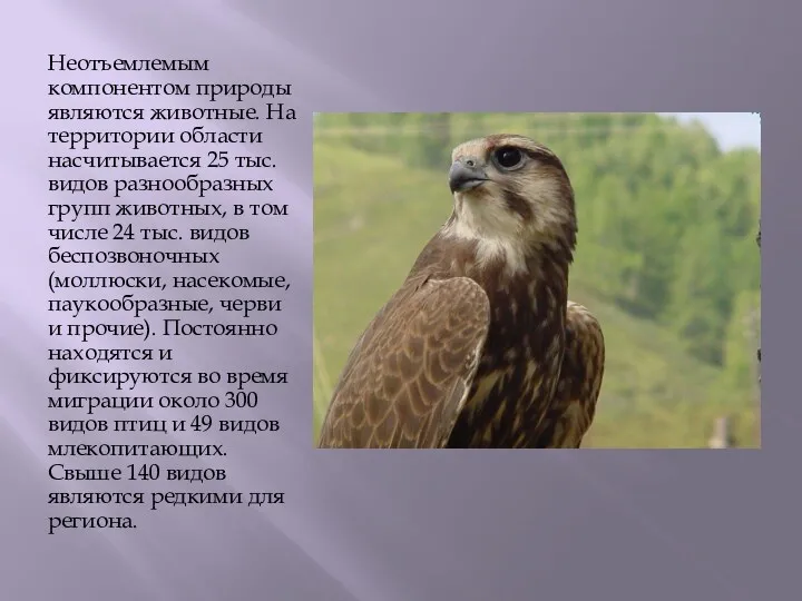 Неотъемлемым компонентом природы являются животные. На территории области насчитывается 25