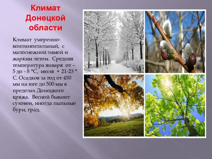 Климат Донецкой области Климат умеренно-континентальный, с малоснежной зимой и жарким