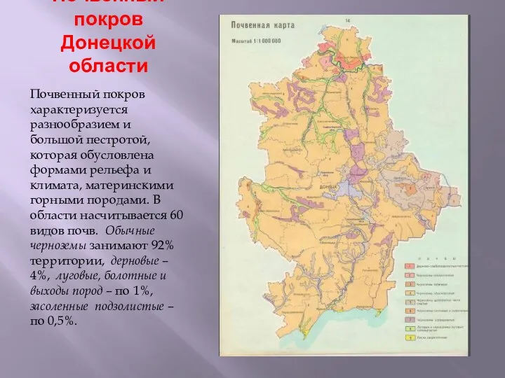 Почвенный покров Донецкой области Почвенный покров характеризуется разнообразием и большой