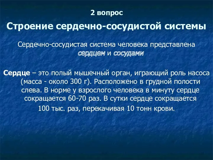 2 вопрос Строение сердечно-сосудистой системы Сердечно-сосудистая система человека представлена сердцем