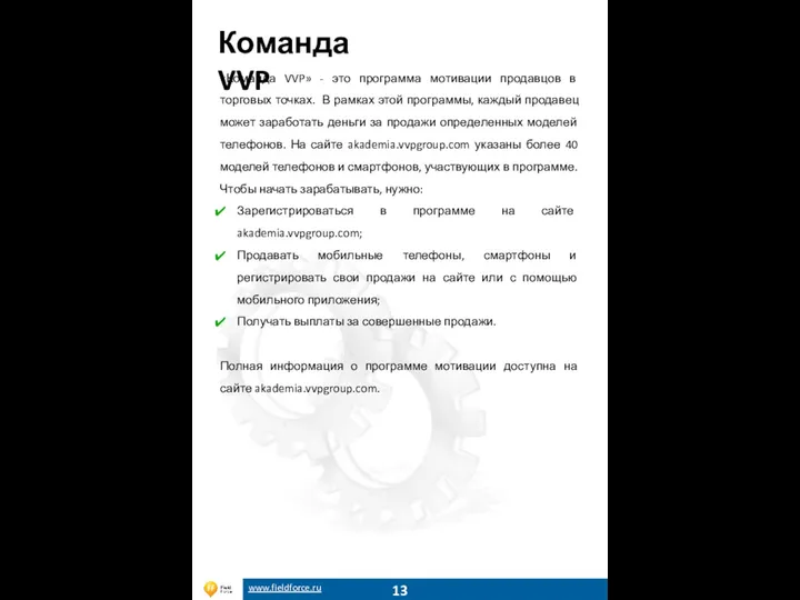 www.fieldforce.ru Команда VVP 13 «Команда VVP» - это программа мотивации продавцов в торговых