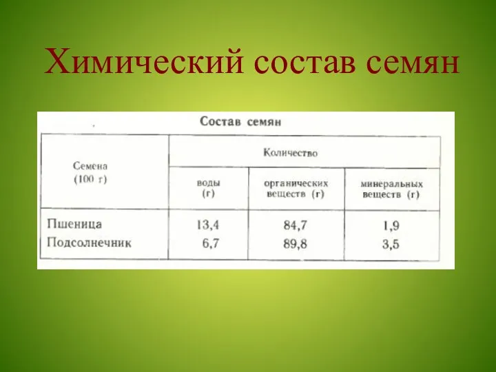 Химический состав семян