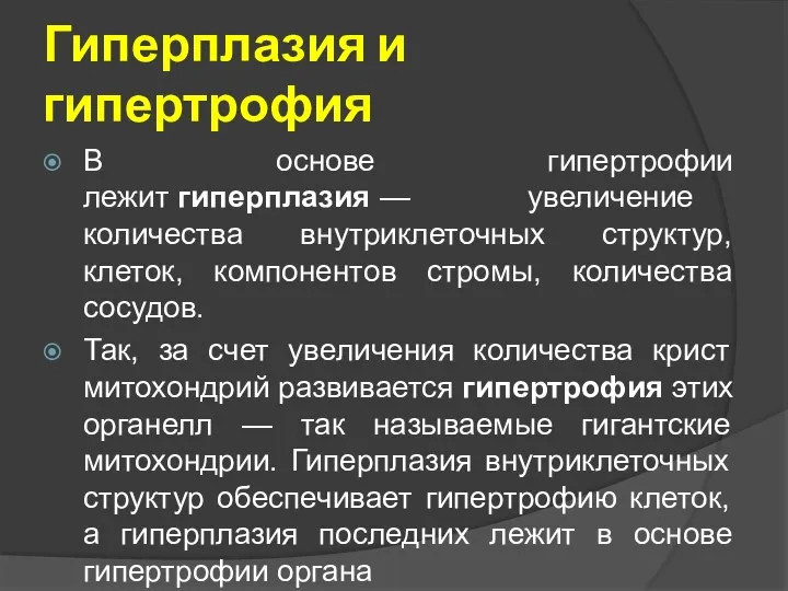 Гиперплазия и гипертрофия В основе гипертрофии лежит гиперплазия — увеличение