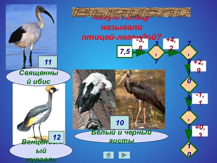 Какую птицу называли птицей-легендой? Венценосный журавль 7,5 -3,8 +4,2 -1,1