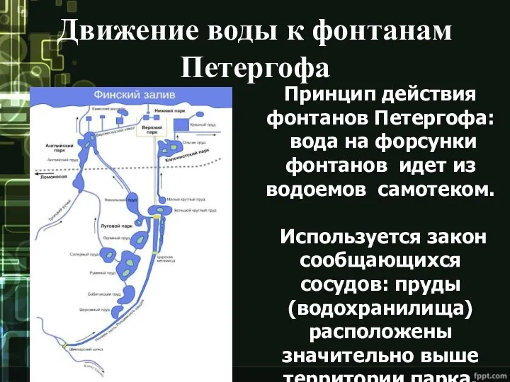 Движение воды к фонтанам Петергофа Принцип действия фонтанов Петергофа: вода